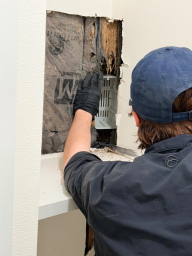 Professional Termite Inspection Inside Exterior Wall Technician inspecting concealed wall cavity for termite damage and active wood-destroying insect activity.