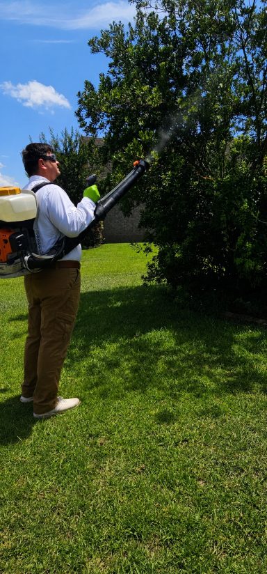 Professional Mosquito Treatment Around Shrubs and Landscaping Technician applying mosquito treatment to shrubs with a backpack mist blower for effective mosquito control.