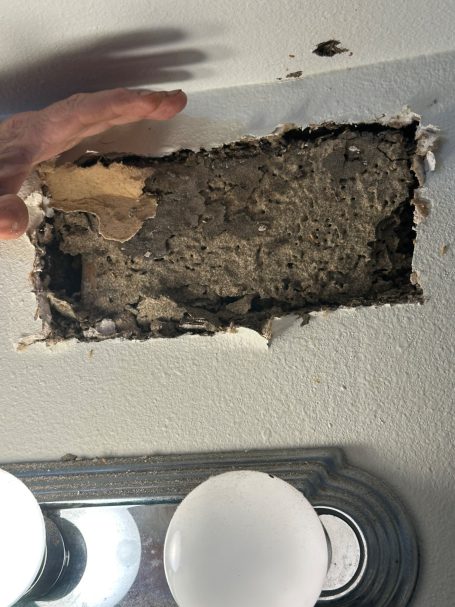 Formosan Termite Satellite Colony in Wall Formosan termite carton discovered inside a wall during a termite inspection at a New Orleans home.